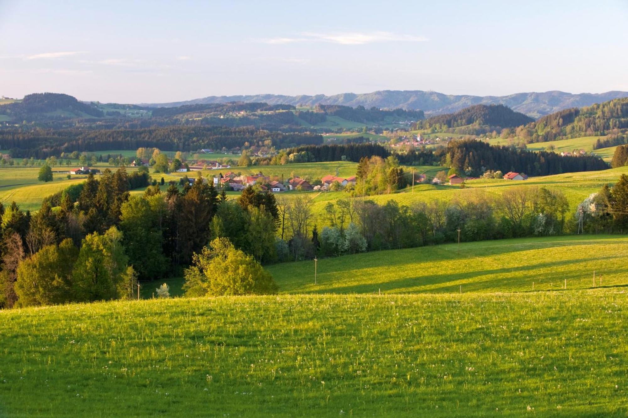 Allgaeu-Glueck Gruenenbach Grunenbach Eksteriør bilde